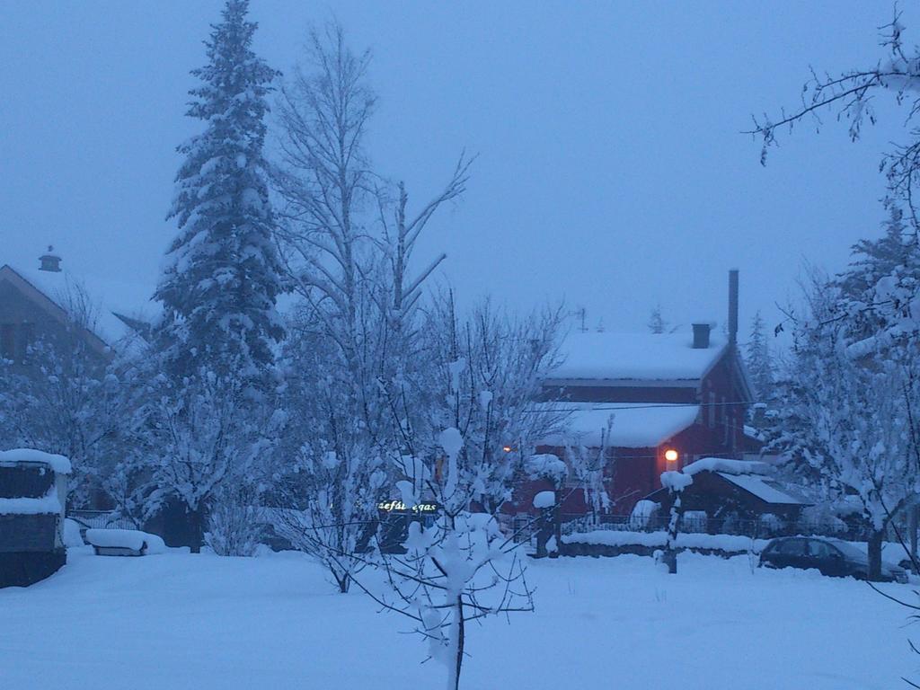 Hotel Chalet Puigdefabregas ハカ エクステリア 写真